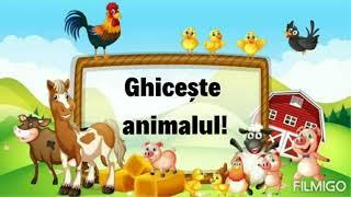 "Ghicește animalul!" - animale domestice