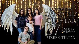 QANOTSIZ QUSHLAR 37 QISM TURK SERIALI UZBEK TILIDA | КАНОТСИЗ КУШЛАР 37 КИСМ УЗБЕК ТИЛИДА