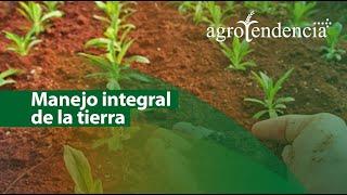 Manejo integral de la tierra  Técnicas de cultivo