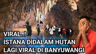 VIRAL..! ISTANA DIDALAM ALAS PURWO YANG LAGI VIRAL DI BANYUWANGI