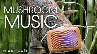 Mushroom Music with PlantWave