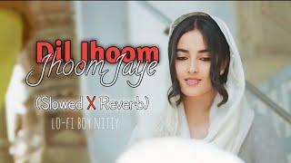 Dil jhoom jhoom Jaye (slowed X reverb) song@Nitiy123_