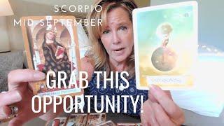 SCORPIO Embrace this OPPORTUNITY - Mid-September 2024