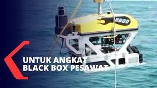 TNI Maksimalkan ROV untuk Angkat Black Box Sriwijaya Air SJ182