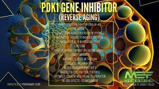 (Reverse Aging) PDK1 Gene Inhibitor (Scientifically Proven)