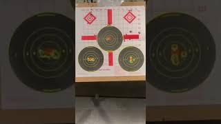 PSA Gen4 9mm  pistol shooting test with red dot and laser sight