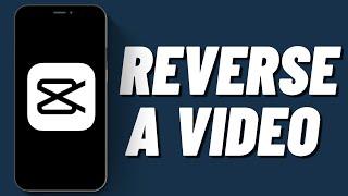 How to Reverse a Video in Capcut (2023)