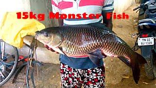 15kg monster rohu fish caught by hook stars