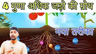 जड़ों की ग्रोथ कैसे करें । गहरी जुताई, DAP, माइकोराइजा, How to grow roots