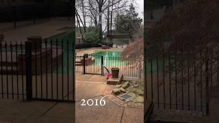 Patio Garden before & after. 2016-2024