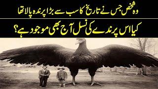 NASA Finds The Oldest Bird In History | Reality Facts