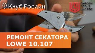 Ремонт секатора LOWE 10.107 после обрезки 25000 кустов голубики