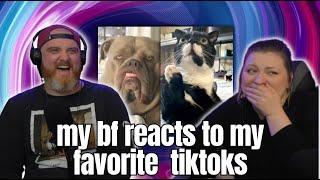 My favorite Wholesome Funny Tiktoks (mostly cute animals) w/ @TheycallmeHatGuy