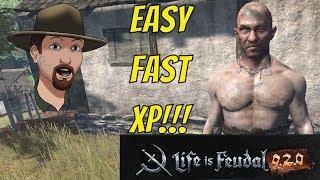 FASTEST XP with a Billet Farm!- Life Is Feudal MMO 0.2.ish