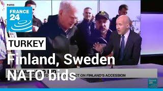 Turkey could mull Finland, Sweden NATO bids separately • FRANCE 24 English