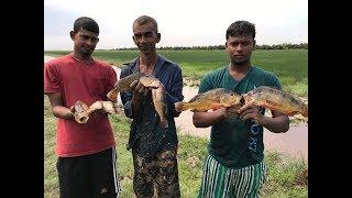 Anaconda, Golden Tegu & Peacock Bass Caught by hand.