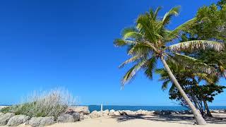  Tropical Beach Relaxing Ocean Ambience [Key West Florida]