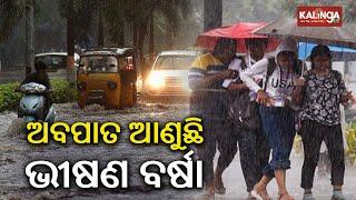 ଆଜିର ଖବର || Ajira Khabar || 7 PM News Bulletin || 08 September 2024 || Kalinga TV