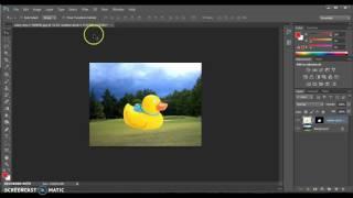 Photoshop- How to resize an individual layer or object