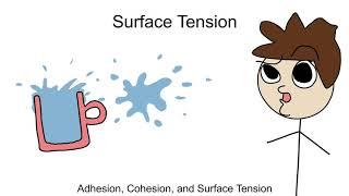 Adhesion, Cohesion and Surface Tension Part 10