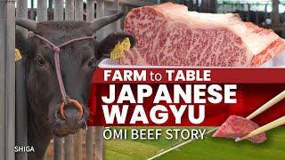 Japanese Wagyu Farm to Table | Omi Beef Story  ONLY in JAPAN