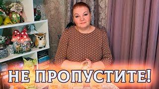 НЕ ПРОПУСТИ! ПЕРЕМЕНЫ, КОТОРЫЕ ОБРАДУЮТ!