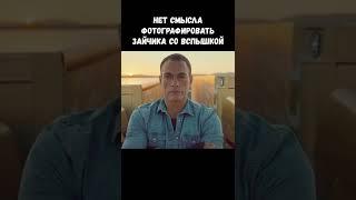 "У печеньки нет души": ржачные афоризмы Ван Дамма