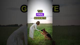 "The Final Goodbye: A Love Unspoken" #storytale  #storytelling  #inspirational