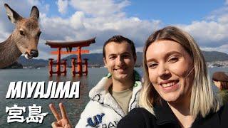 MIYAJIMA full day travel guide | Japan's best day trip