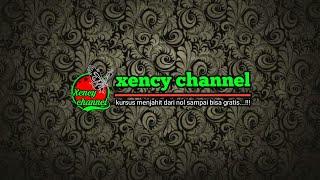 ngobrol bareng  ''Xency Channel'' sambil tanya jawab