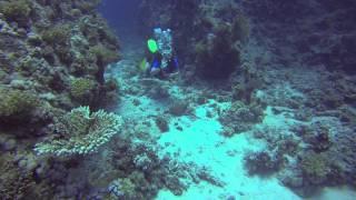 Red Sea with GoPro Hero3 Black