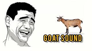 Goat Sound | Funny Background Sound | Background Sound Effect | No Copyright Music | SHORTS