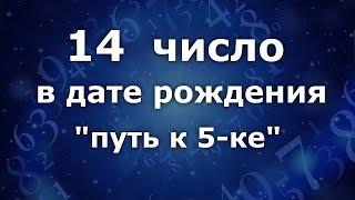 14 число в дате рождения - "Путь к 5- ке." Анализ двойных чисел 14. Нумеролог Ася Бабиянц.