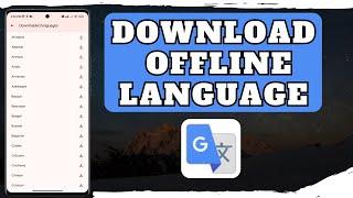 How To Download Language In Google Translate On Android