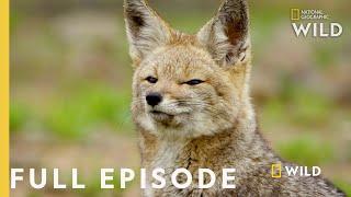 Life without Water (Full Episode) | Wild Chile