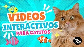 Video Interactivo para gatitos temática océano