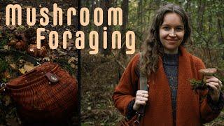 Mushroom foraging in the forest | taking a local mushroom course