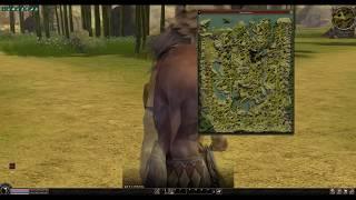 [Metin2 - Map Editor] 4x5 New Forest Map - Mapping by C95 [Showcase]