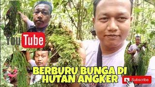 BERBURU BUNGA LANGKA DI HUTAN ANGKER