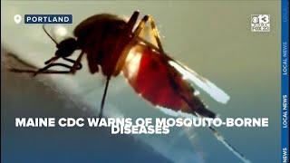 Maine CDC warns of increased risk of mosquito-borne diseases