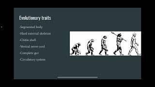 Protostome video- BIOL 112