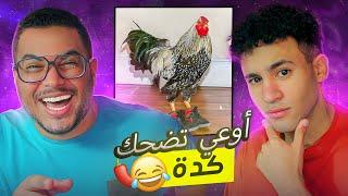 لو ضحكت تخسر وتتعاقب مع مهاب شادي | YOU LAUGH YOU GO TO HELL