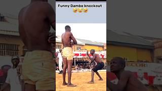 Funny dambe fight you most watch #sports #boxingevent #dambe #africa #boxingworld #influencerboxing