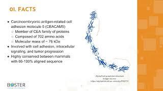 Learn CEACAM5 in 3 minutes | CEA Cell Adhesion Molecule 5