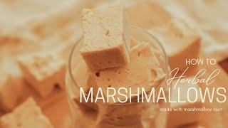 How to make homemade Herbal Marshmallows with marshmallow root