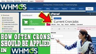 HOW OFTEN CRONS SHOULD BE APPLIED IN WHMCS? [EXPLAINED]️