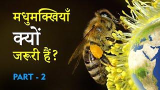 Why bees are important? मधुमक्खियाँ क्यों जरूरी हैं? PART - 2 in Hindi | English sub by Dear Master