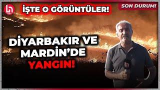 SON DURUM! Diyarbakır-Mardin yangınında son durum ne? Ferit Demir detayları aktardı!