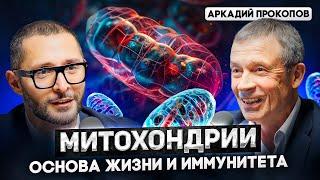 Аркадий Прокопов. Что скрывают ваши митохондрии? Доктор Дзидзария о старении и хронических болезнях