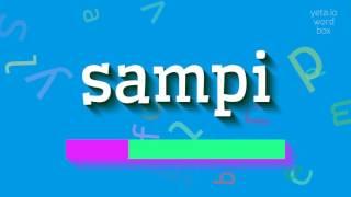 HOW TO SAY SAMPI? #sampi